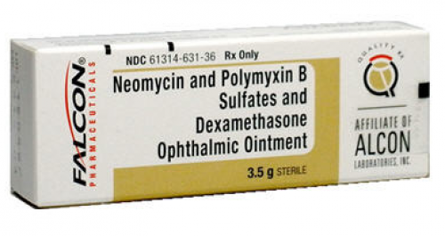 Neo-Poly-Dex Ophthalmic Ointment | Treatments | Dog & Cat | PetFlow