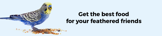 Category Top Banner (Mobile)
