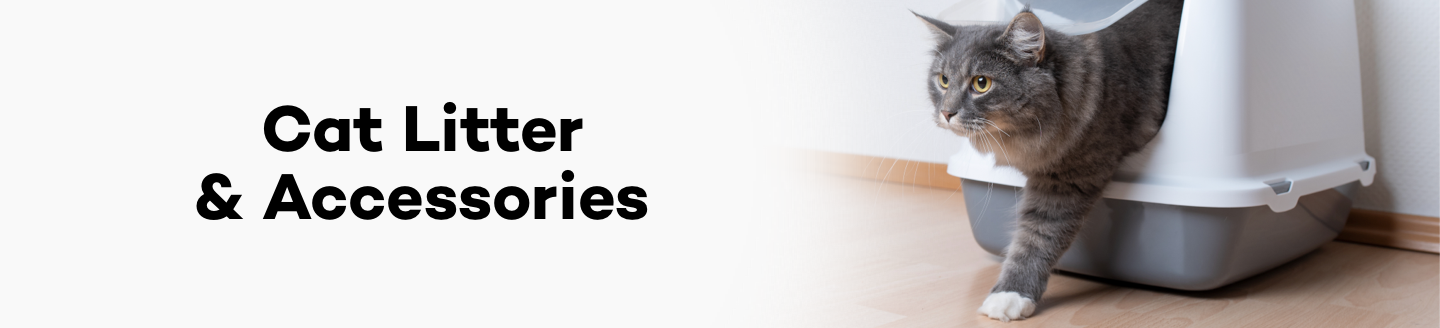 Category Top Banner (Desktop)
