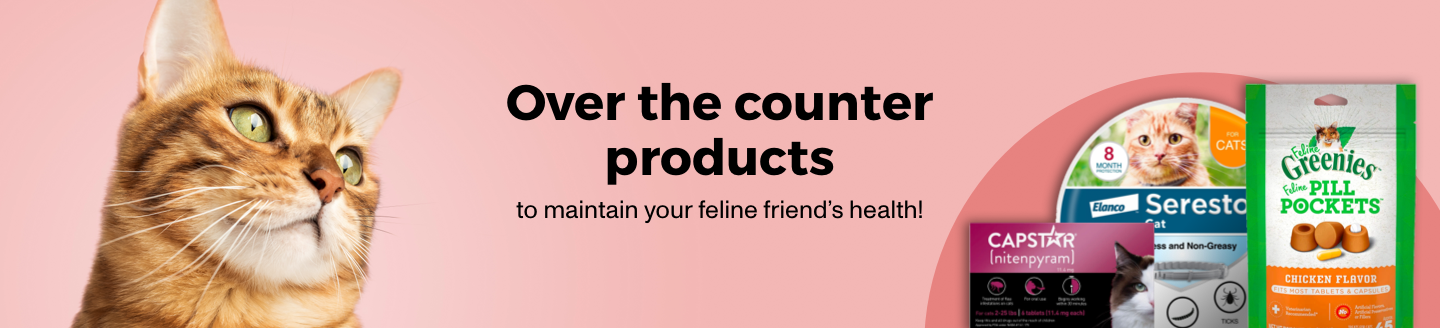 Category Top Banner (Desktop)