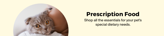 Category Top Banner (Mobile)