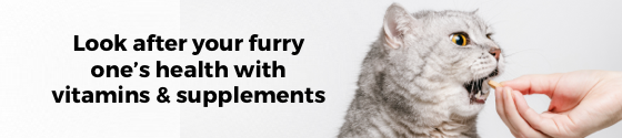 Category Top Banner (Mobile)
