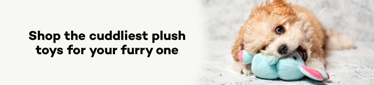 Category Top Banner (Desktop)