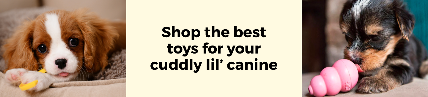Category Top Banner (Desktop)