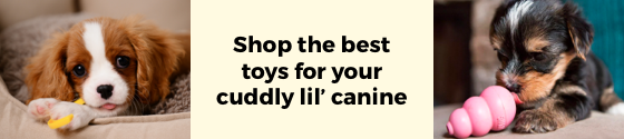 Category Top Banner (Mobile)