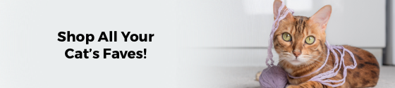 Category Top Banner (Mobile)
