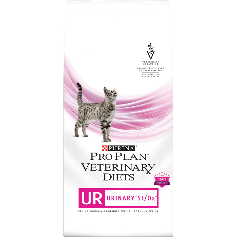 purina urinary tract dog food