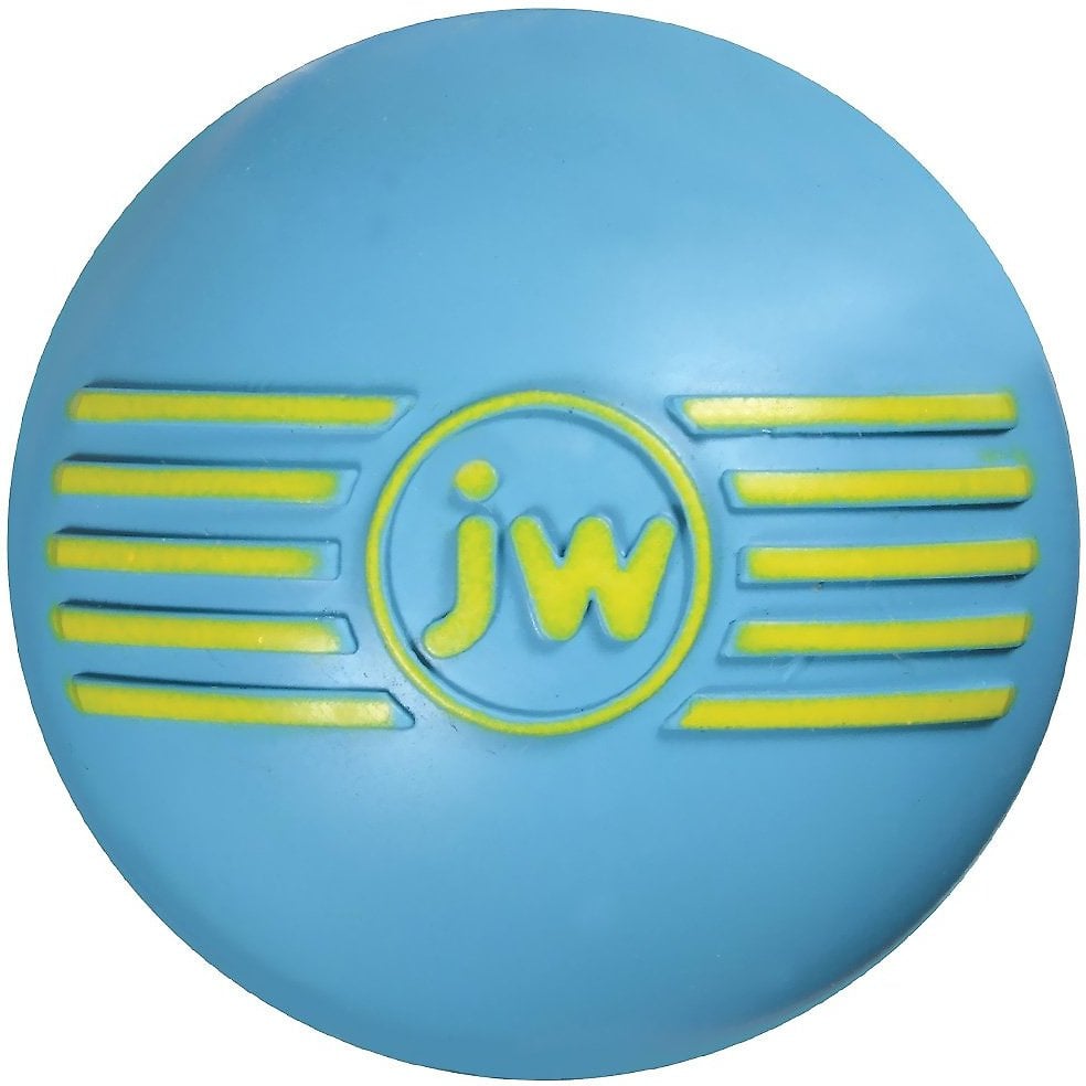 Jw Pet Isqueak Ball Dog Toy Petflow