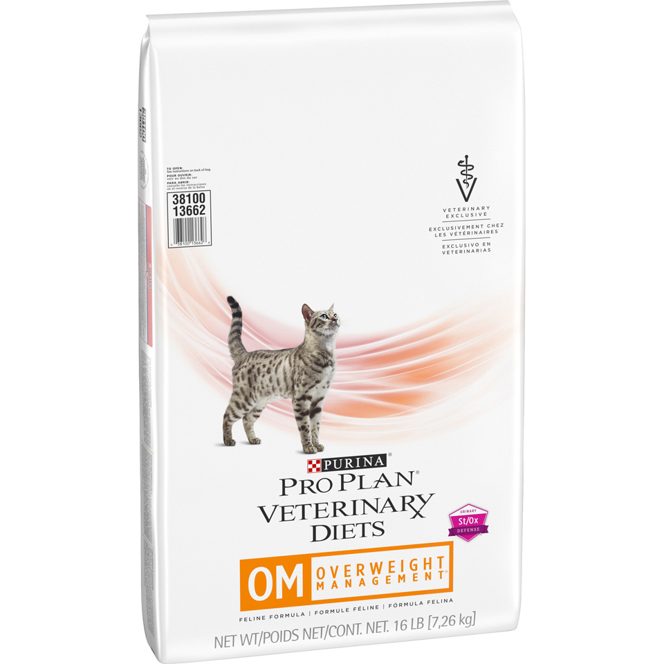 overweight management cat food
