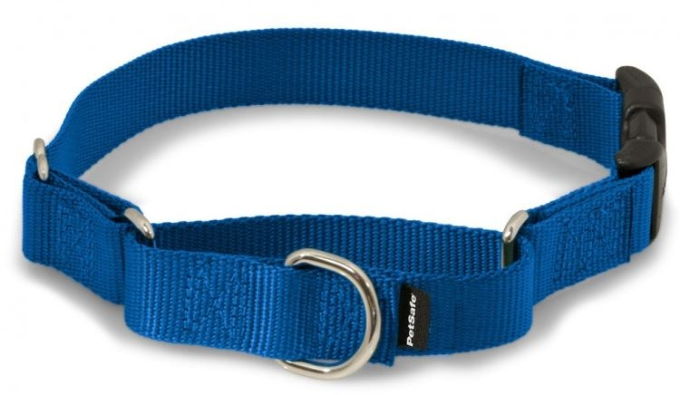  Blueberry Pet Essentials Bundle Set - Medium Royal Blue Dog  Collar + 5 ft x 3/4 Dog Leash : Pet Supplies