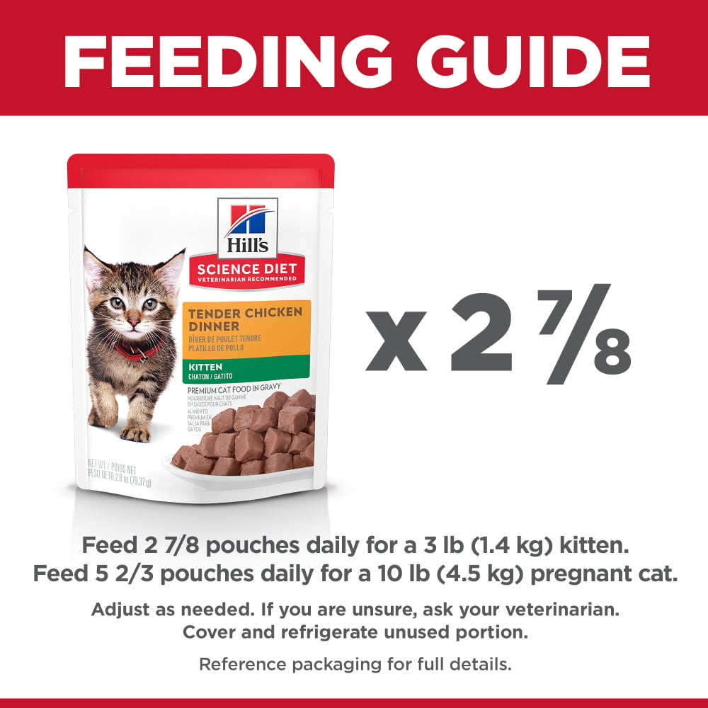 American Journey Cat Food Review 2020 (InDepth) CatlyCat