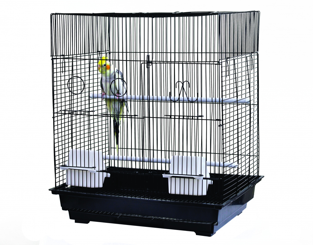 Multi-Branch Birdcage Accessories Pet Supplies A And E Cage Co 
