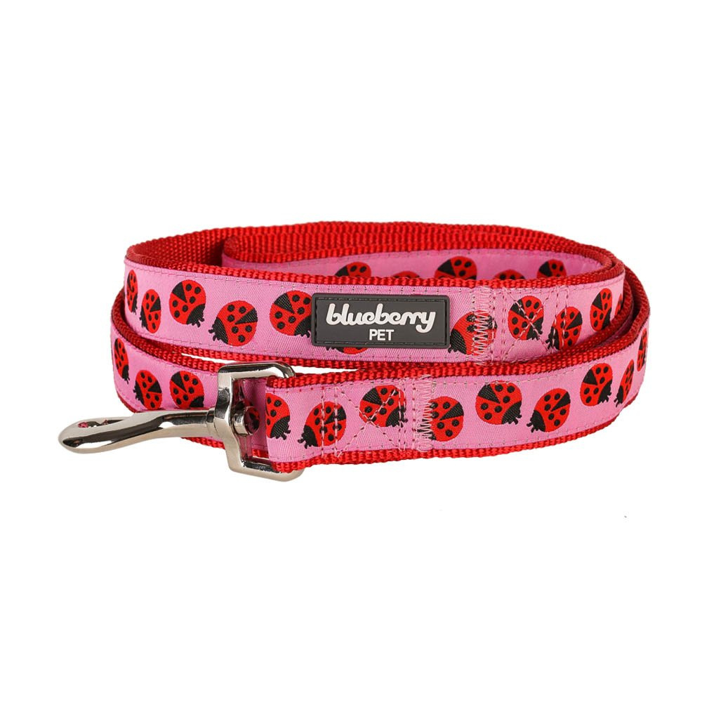 Blueberry Pet Durable Pink Webbing Ladybug Designer Dog Leash 4 ft x 1 Basic Nylon Leashes for Dogs Large