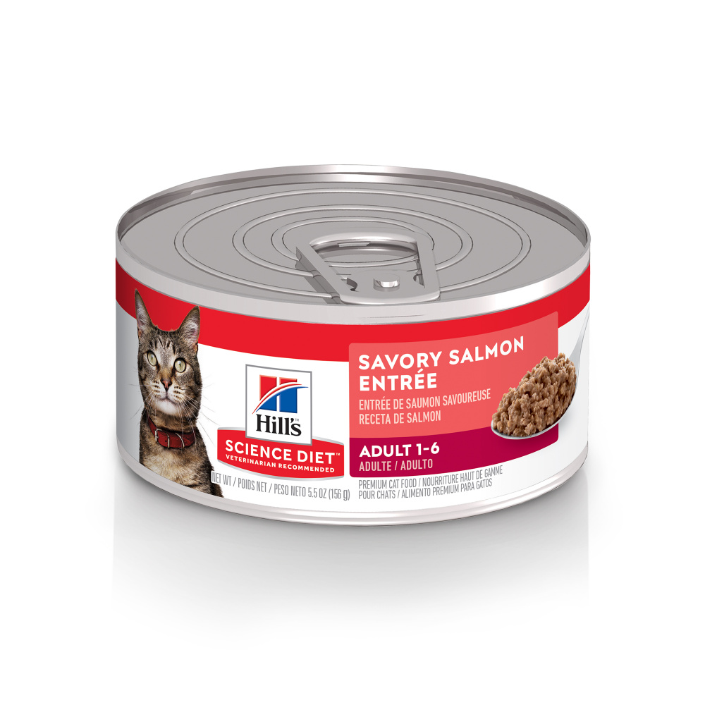 Hills Science Diet Adult Savory Salmon Entree Canned Cat Food