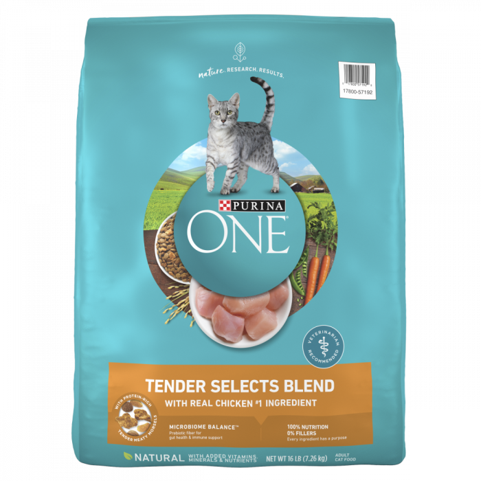 Purina ONE Tender Selects Blend Real Chicken Dry Cat Food | Petflow.com