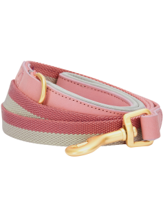 Blueberry Pet Polyester Fabric and Leather Dog Leash With Soft & Comfortable Handle, Pink and Grey