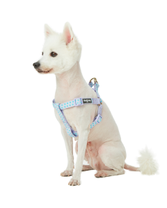 Blueberry Pet Step-in Velvety Polka Dot Flocking Dog Harness in Pastel Purple