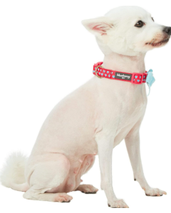Blueberry Pet Velvety Heart Flocking Dog Leash in Lust Red