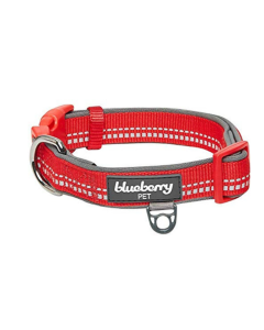 Blueberry Pet Soft & Comfy 3M Red Reflective Padded Dog Collar