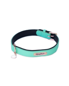 ZippyPaws Vivid Collection Teal Dog Collar