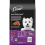 Cesar Filet Mignon Flavor & Spring Vegetables Garnish Small Breed Dry Dog Food