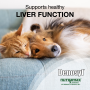 Nutramax Denosyl Liver & Brain Health Supplement for Small Dogs and Cats Tablets
