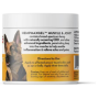 HempVet Muscle and Joint Recovery HempMax Gel With CBD Oil