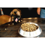 Boss Dog Complete & Balanced Beef Recipe Freeze Dried Dog Food