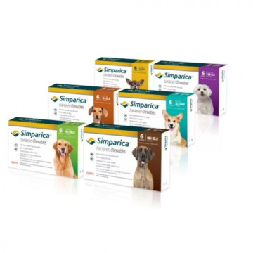 Simparica Chewables for Dogs