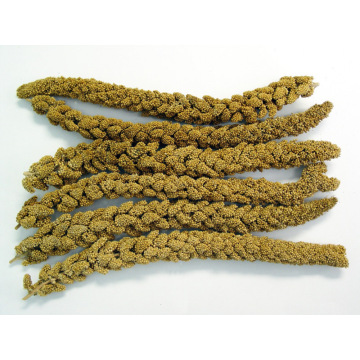Higgins Spray Millet Treat