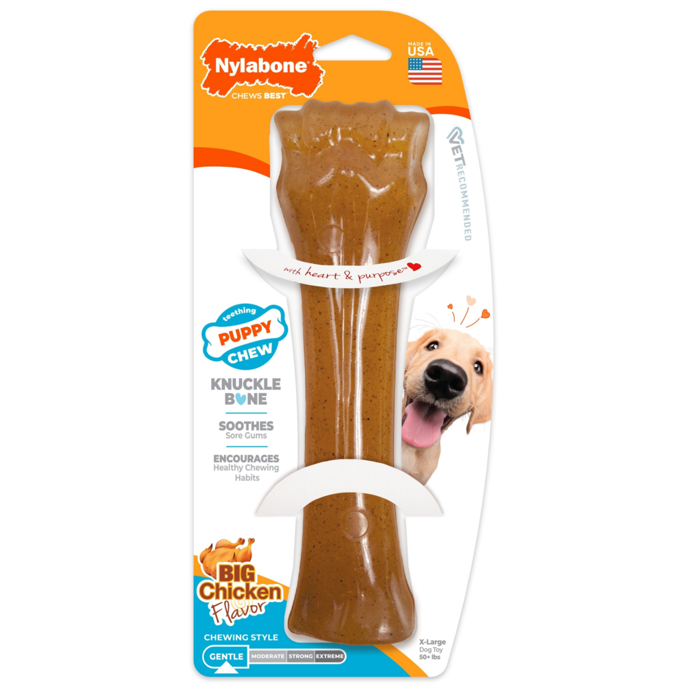 Nylabone Puppy Chew Teething Bone Chew Toy