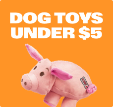 A pig-shaped dog toy