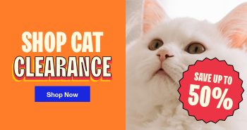 Image of a cat