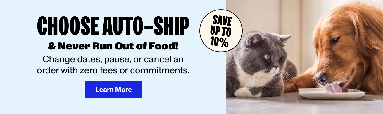 Photo of a dog licking a plate of food and cat watching
