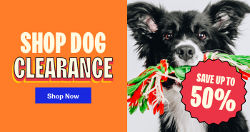 Image of a dog with a rope toy