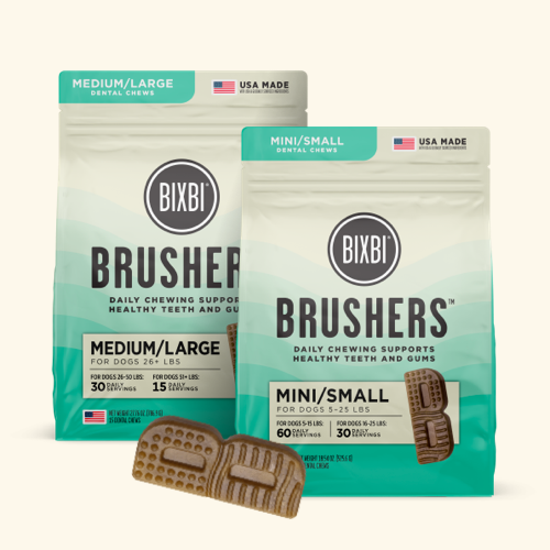 Bixbi brushers product