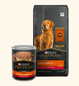 Purina dry and wet pet food